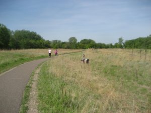 The Prairie and Trail at Cedar Lake Park